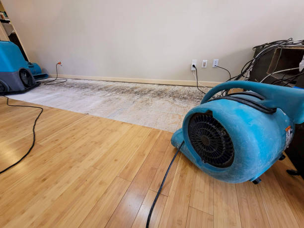 Reliable Basement Flood Cleanup contractor in Ansonia, OH by Hirex Water Damage