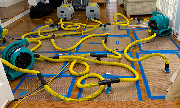 Professional Basement Flood Cleanup technician working in Ansonia, OH